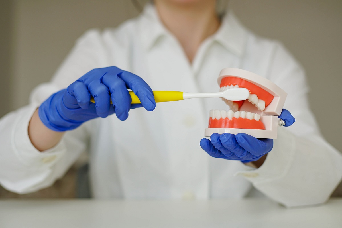 dentist brushing model of teeth
